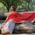 Red white bandhani saree